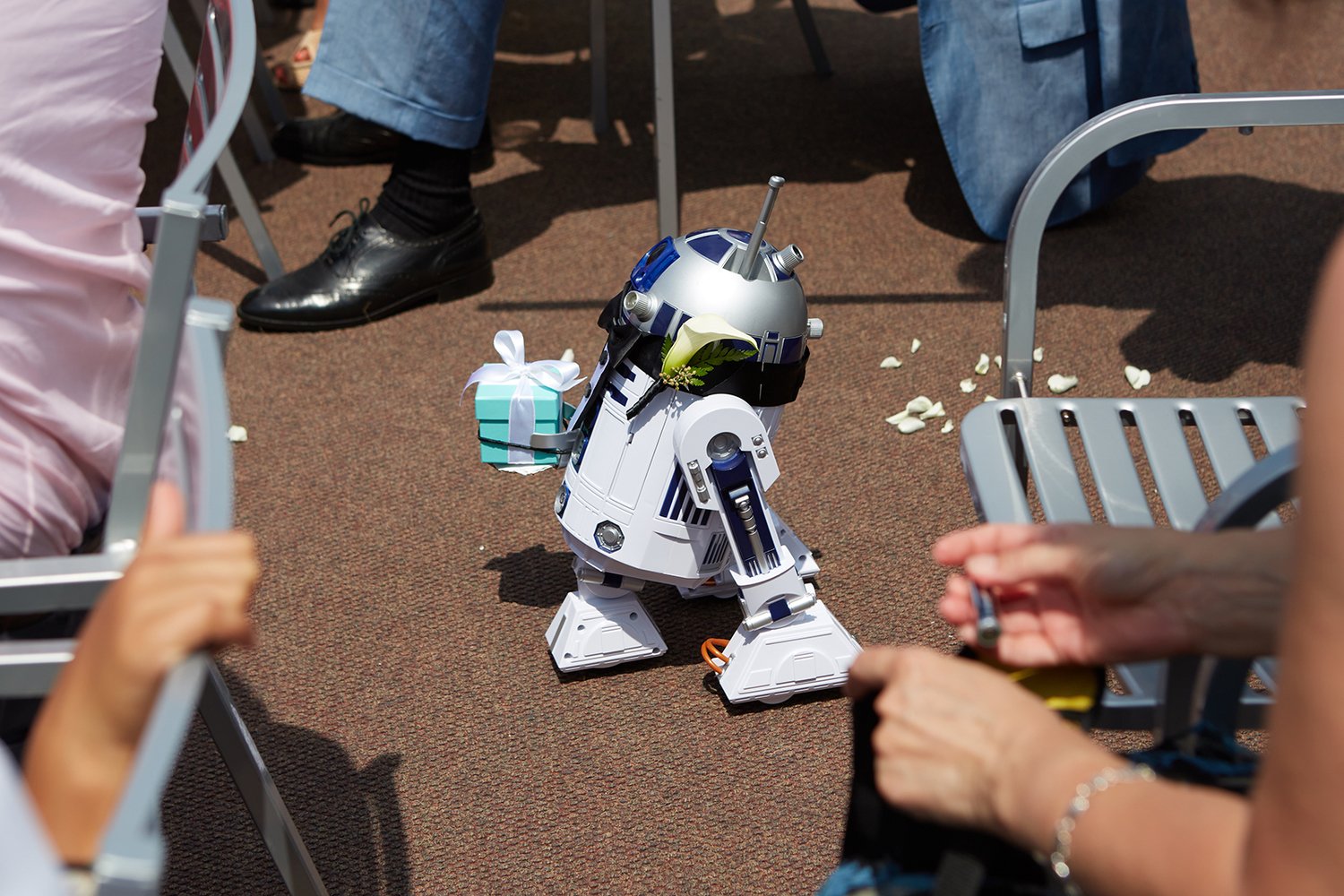 Love on the Big Screen: How to Reenact Your Favorite Movie Scenes on Your Wedding Day