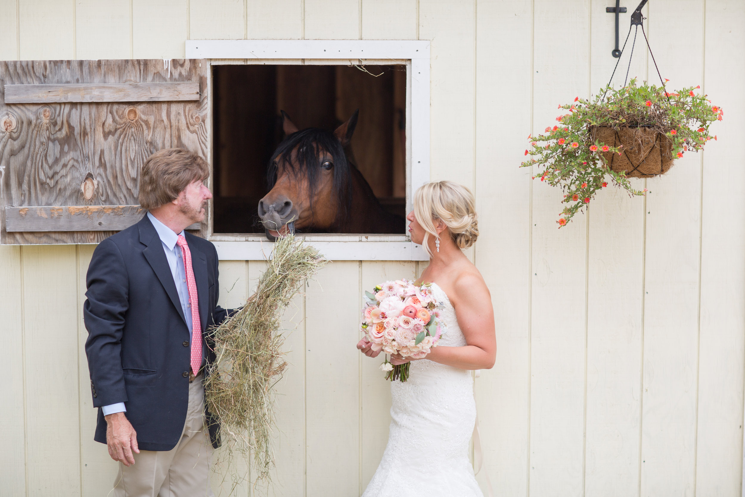 Kimberly - I think deciding on a wedding photographer was one of the most important aspects of planning our wedding. When I saw Yuri's work - I just knew he was "the one". We had a very small, intimate ceremony and Yuri was extremely flexible with us to ensure we had exactly what we wanted in terms of timing and picture locations (we used a couple). He was VERY professional and unobstrusive that day - something very difficult to do with so few people! When we got our pictures back - we where absolutely thrilled - they are breathtaking! Several people I have shared them with have commented that they look like they should be in a magazine - and we couldn't agree more! We highly recommend anyone looking for a talented, professional and very reasonably priced photographer to choose Yuri - we are so happy we did!